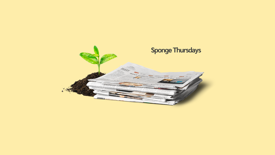 Sponge Thursdays